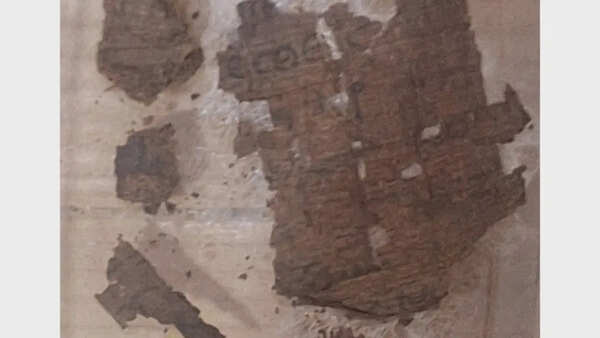 What lies inside a 1,600-year-old mummy: The shocking discovery of Homer’s Iliad fragment sealed within a Roman-era Egyptian burial
