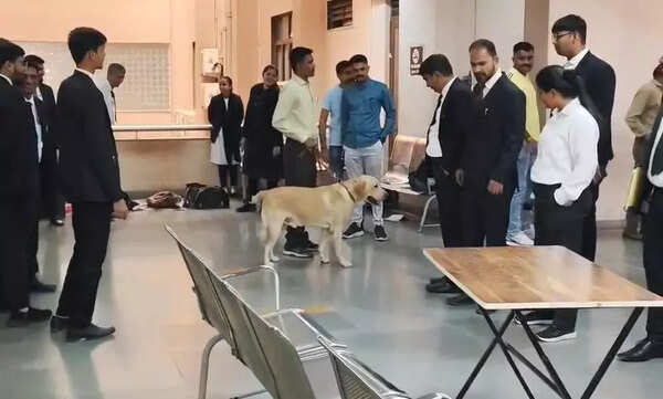 Bomb hoax in district court