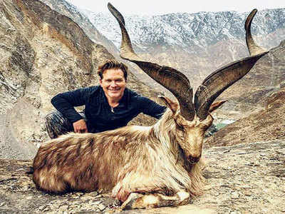 American pays a record $1,10,000 to hunt markhor, Pak’s natl animal
