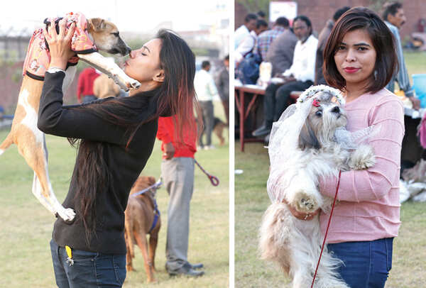 It’s showtime for pets