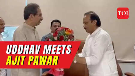 Amid NCP vs NCP, Uddhav Thackeray's 'courtesy call' to Maharashtra deputy CM Ajit Pawar