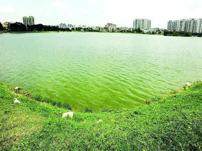 Before polls, call to save lakes