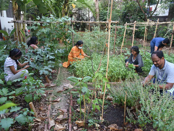 This green initiative helps city folk foster a bond with nature