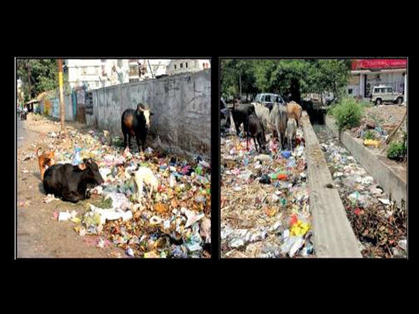 Only partial collection of garbage as company abstains from work