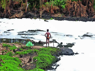 NGT notice to BBMP, KSPCB on Arkavathi River toxicity