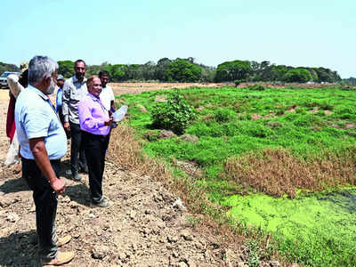 Bellandur, Varthur lakes’ desilting work drags on