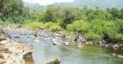 Goa stands firm on Mahadayi river row with K’taka