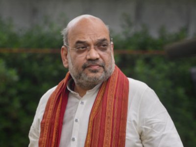 India rose to challenges posed by COVID-19, fought patiently: Amit Shah