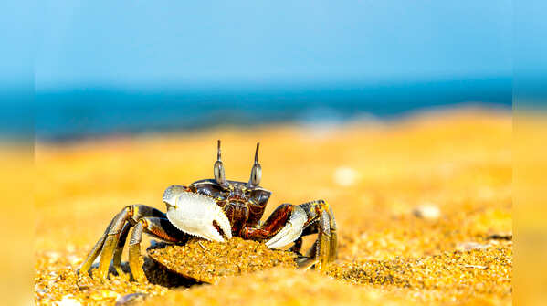 Sex positions you most likely haven't heard about