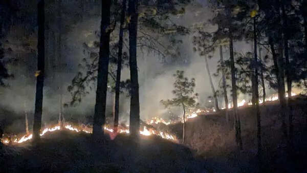 Forest department to hold forest fire week from Feb 1 to 7 across Maharashtra