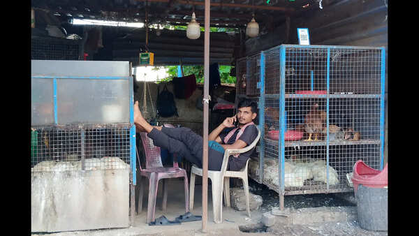 Bird flu outbreak confirmed in Bhagalpur poultry farm, containment steps begin