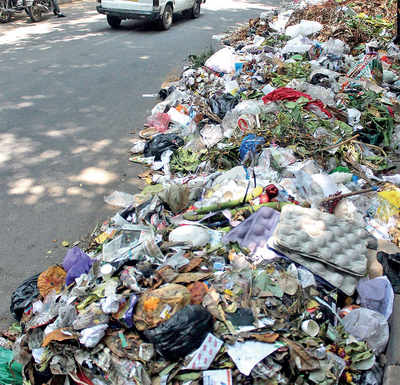 Karnataka High Court wants FIRs against Bengaluru’s litterbugs
