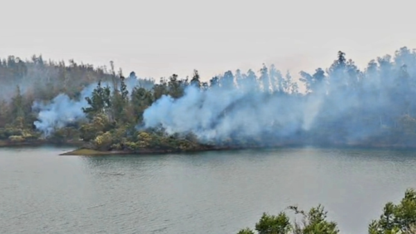 Over 500 firefighters trek hills as Nilgiris wildfire scorches 5,000 acres