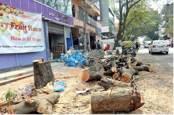 Bengaluru's RR Nagar’s trees are losing out to its business complexes