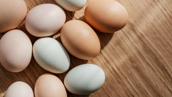 Poor quality eggs reaching Anganwadis: Study