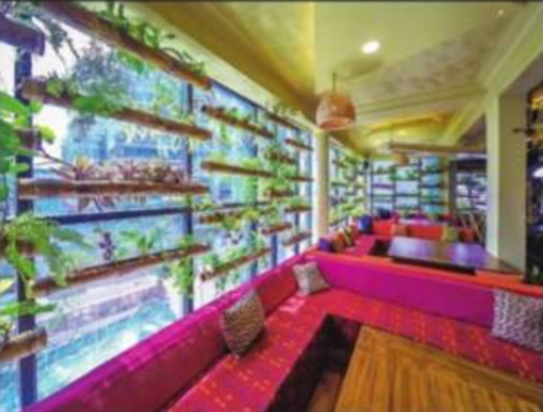 Health-conscious Bengalureans head to organic restaurants