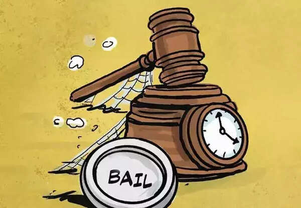 CoinDCX founders get bail in fraud case, question mark over cop action