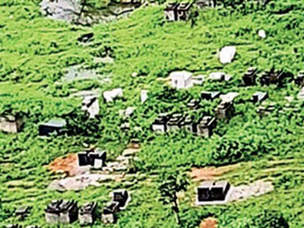 Activists cry foul as Hyderabad lakes turn into graveyards