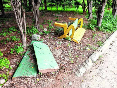 The lost world: Bengaluru’s parks