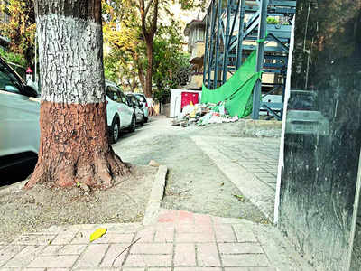 ‘Our trees deserve good grates’