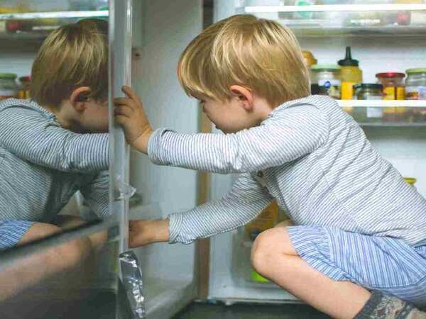 High-End Refrigerators With Bottom Freezer In India