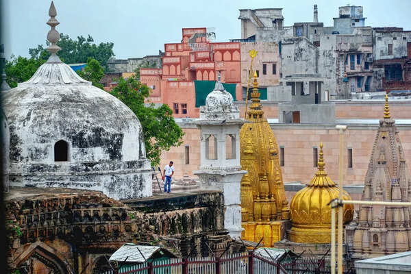 HC adjourns Gyanvapi wuzukhana case hearing till May 14