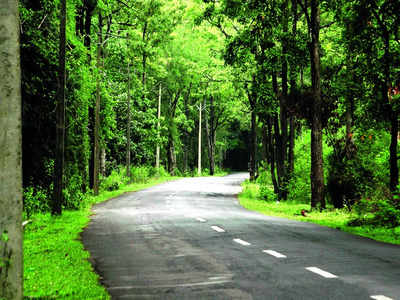 BM Trippin’ Tales: Pay green cess to enter Bandipur