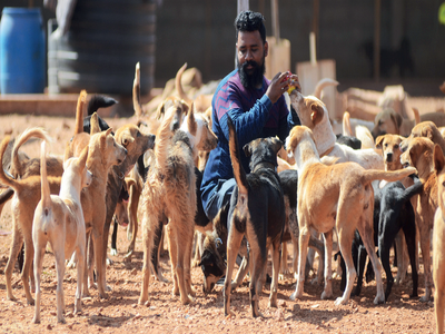 Gym trainer’s life has gone to the dogs. And it’s a really good thing