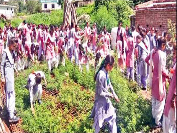 NPDS: Himachal Pradesh ignoring Punjab experience