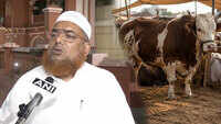 Muslim Clerics Across India Appeal For Restraint On Cow Sacrifice Ahead Of Eid-al-Adha