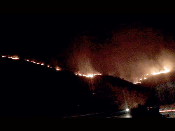 Forest dept ropes in citizens to get wildfire updates