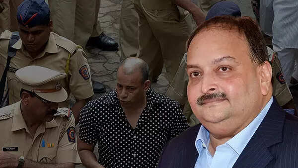 Why Choksi is the new Salem for Indian fugitives