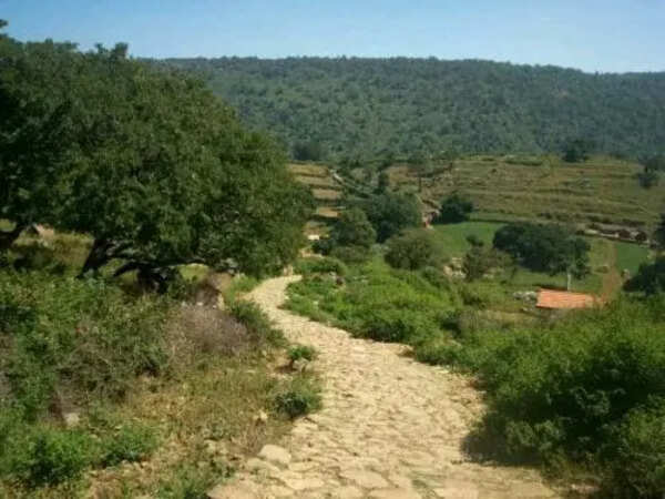 Karnataka suspends Trekking activities on forest trails with wildlife movement