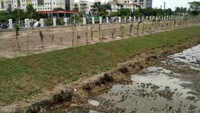 Chennai: Forest dept put life into last surviving Pallikaranai marshland in the city 