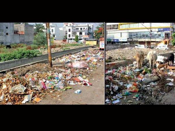 Collectors missing, trash rots on roads