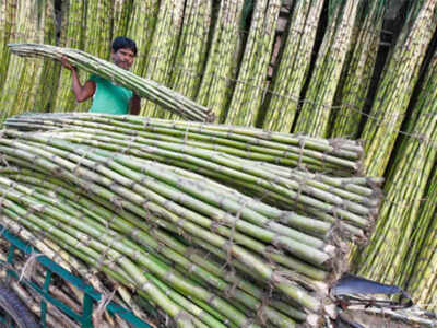 Taste bamboo biryani at the Annual Bamboo Fair