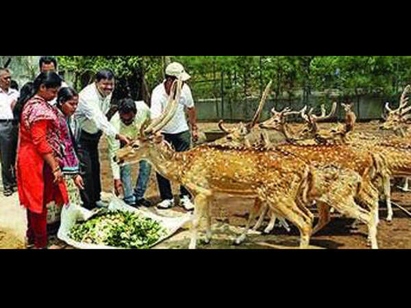 Sprinklers to keep deer cool at park in Cuttack