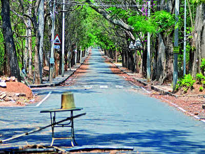 Big cat at Bangalore University ? It  might be a hoax