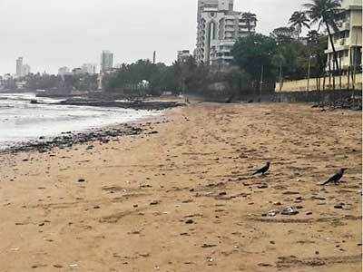 Mumbai celebrates first anniversary of Dadar beach clean-up drive