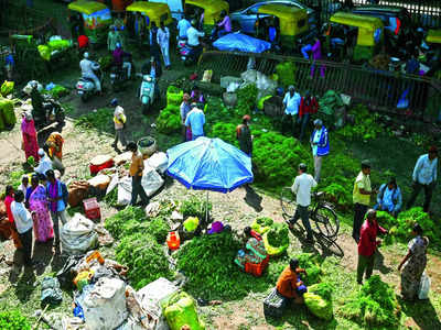 Microbes found in veggie samples from city markets