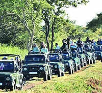 Kaziranga sets new record: 4.68 lakh visitors in 2025-26