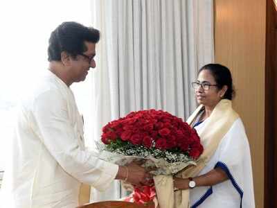 Raj Thackeray meets Mamata Banerjee; invites her for anti-EVM rally in Mumbai