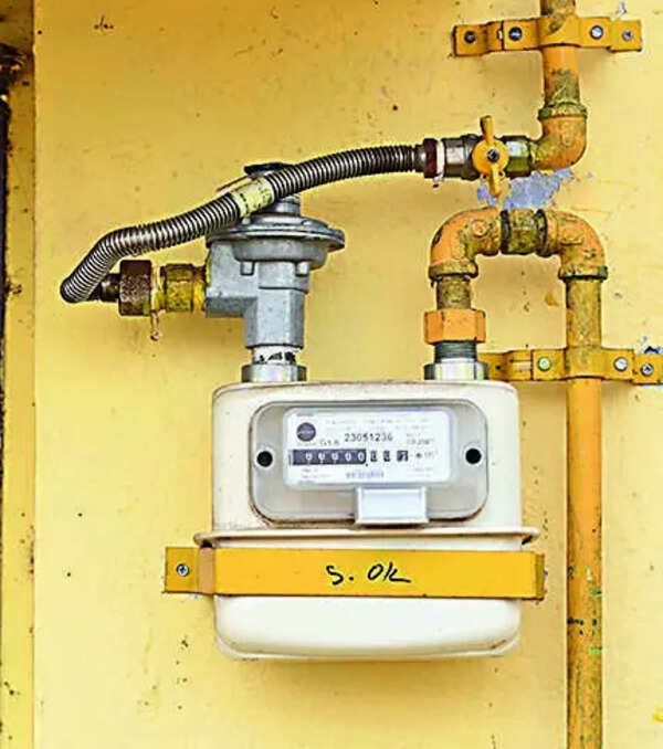 Raj targets LPG-free colonies in 30 days with PNG camps