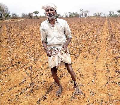 After floods, Karnataka stares at drought