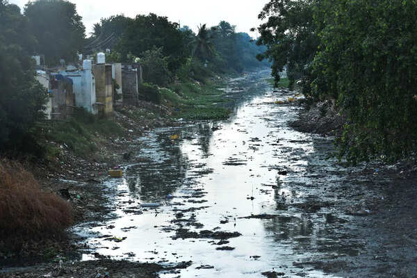 Canal pollution, mosquito menace raise health concerns ahead of monsoon in Vijayawada