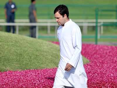 Rahul Gandhi remains adamant, Congress plans resolutions to change his mind