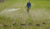 State agri dept report reveals widespread fertilisers black marketing