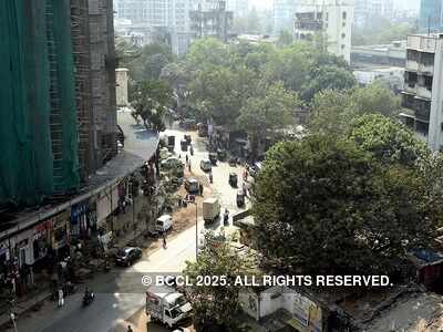 Bombay High Court restrains BMC's panel from granting permission for tree cutting