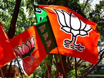 Karnataka Assembly bypolls: Ruling BJP leading in RR Nagar and Sira