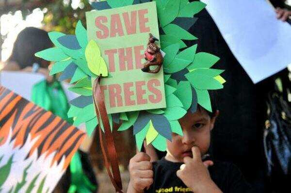 Old Baniyan tree gets back life